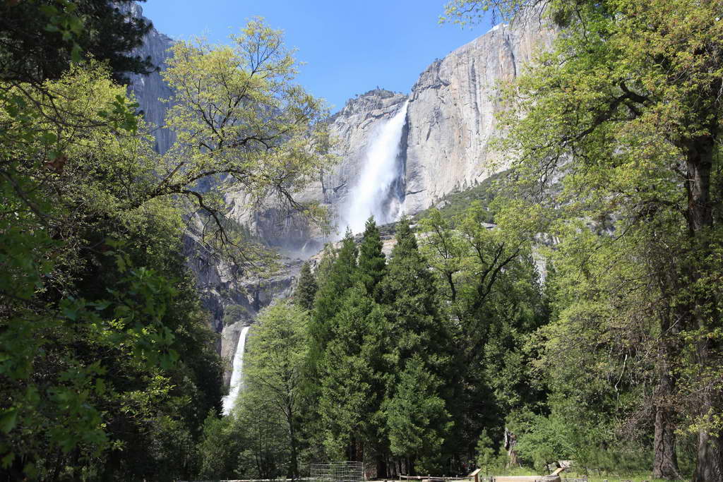 Yosemite NP